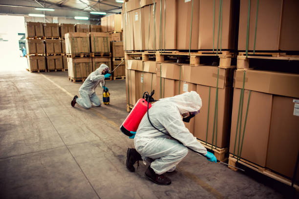 Best Best Pest Control Companies  in Marvin, NC