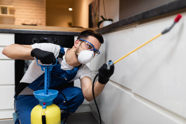 Best Affordable Pest Control Services  in Marvin, NC