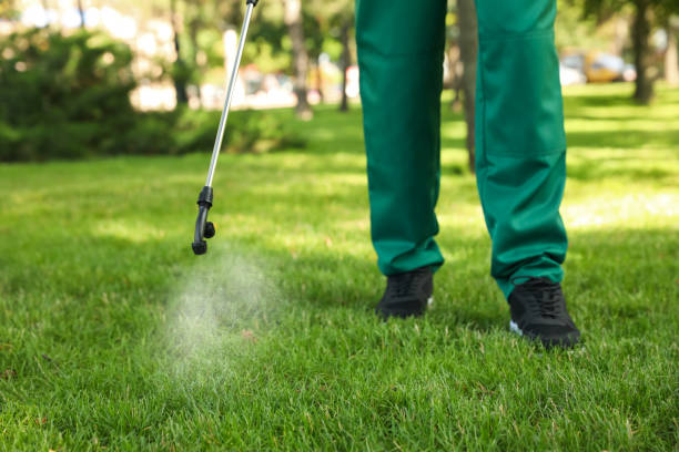 Best Emergency Pest Control  in Marvin, NC