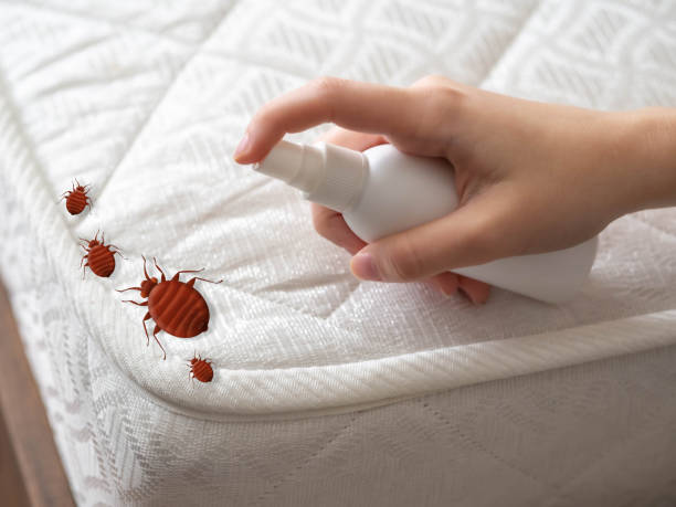 Best Exterminator Services  in Marvin, NC