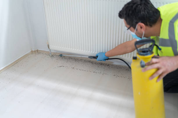 Best Pest Prevention Services  in Marvin, NC
