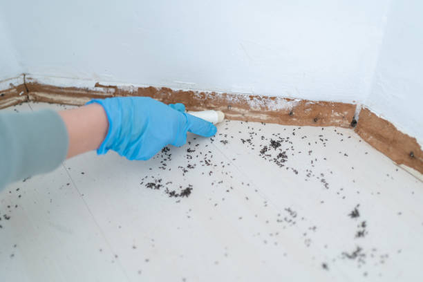 Best Best Pest Control Companies  in Marvin, NC